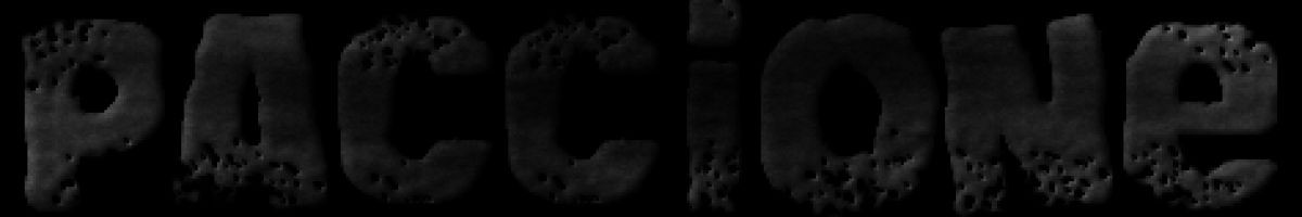 Path To Enlightenment News