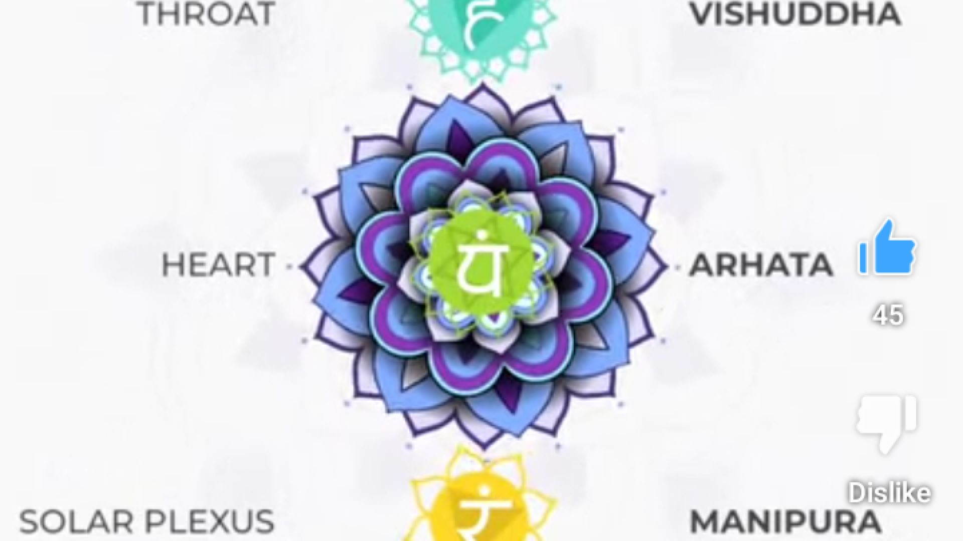 The Chakras