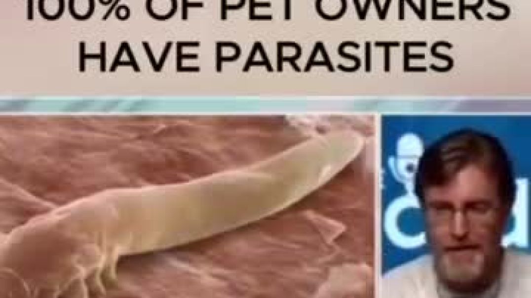 Natural Anti Parasite Herbs to plant everywhere