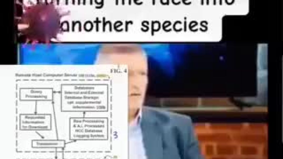 Will You Be A Human Pure Blood In 2030