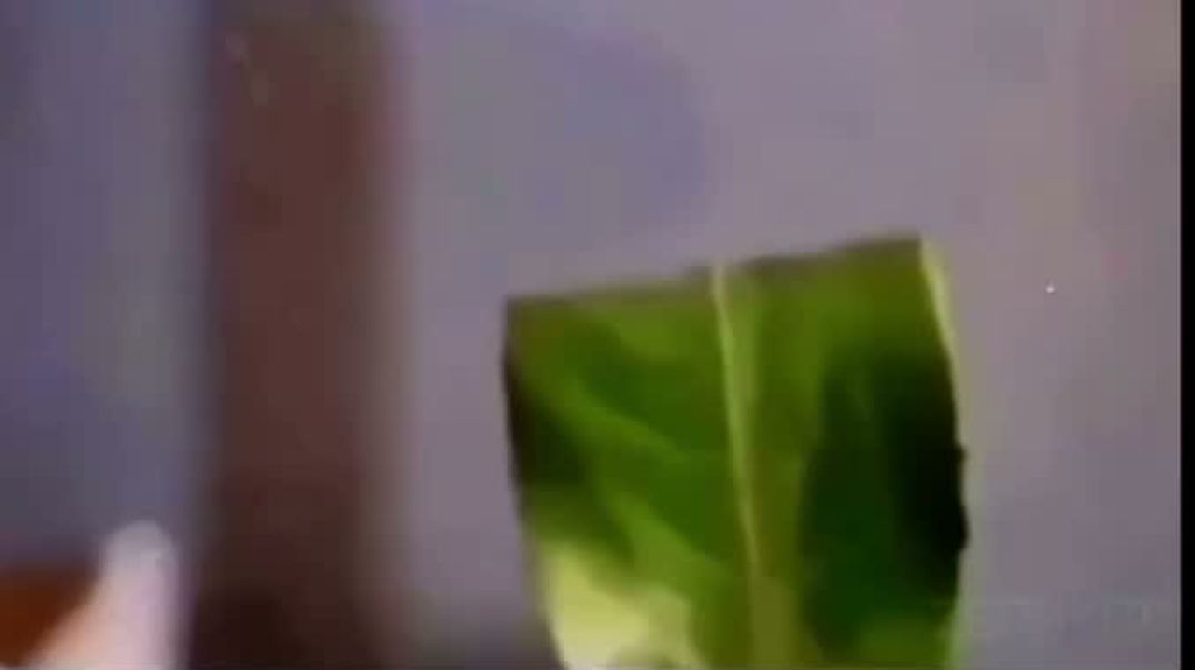 Energy Never Dies Remember