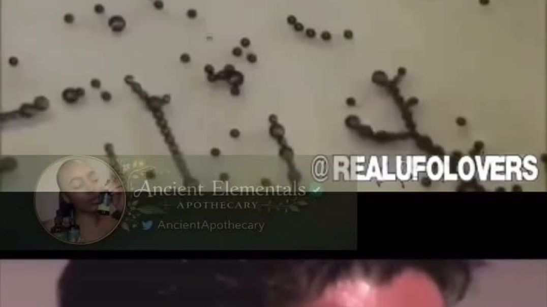 Self Replicating Nano bots In Vaccines Chemtrail Smart Dust and more