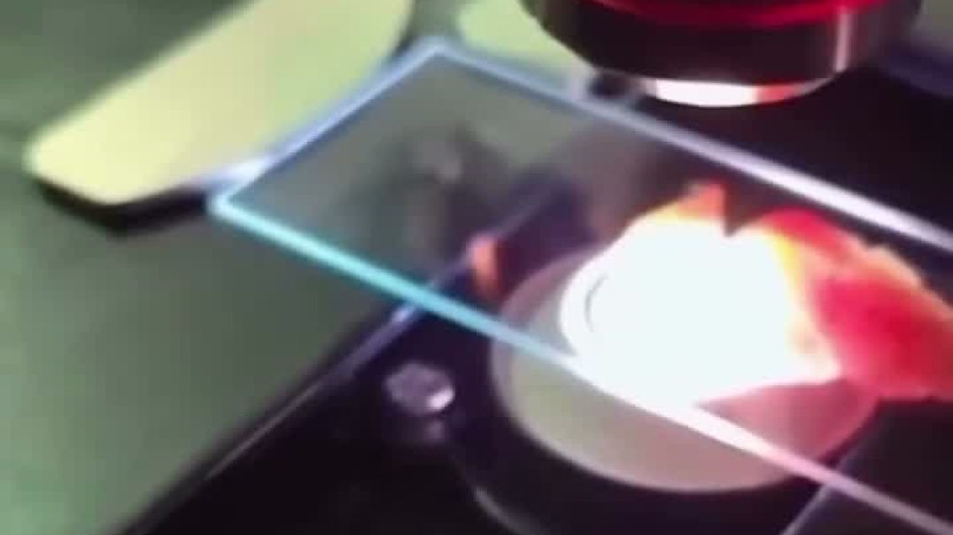 This Is In The Documentary Died Suddenly
